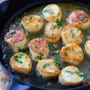 Scallop meat