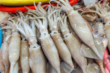 Load image into Gallery viewer, Fresh Squid🇮🇪
