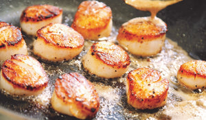 Scallop meat