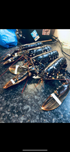 Load image into Gallery viewer, Fresh Lobsters🇮🇪
